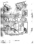 Next Page - Parts Illustration Catalog January 1972